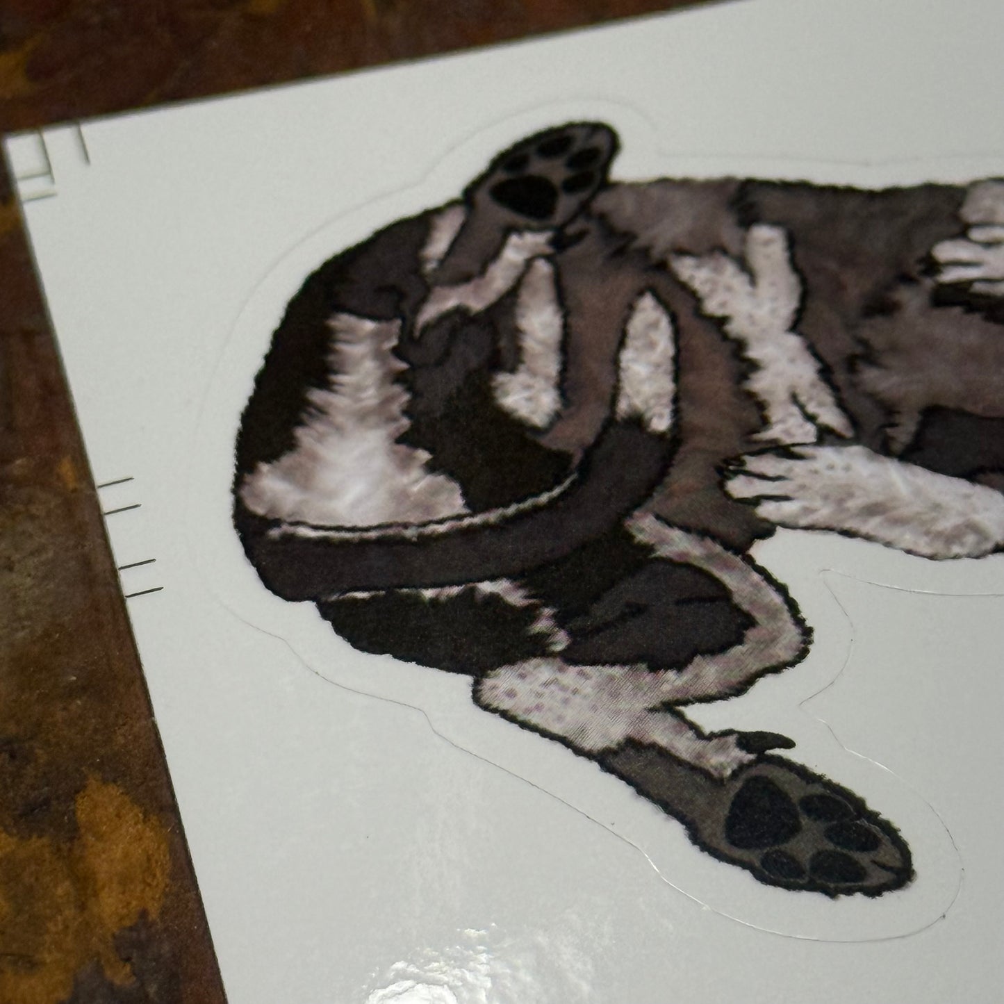 First Edition 4 Pack