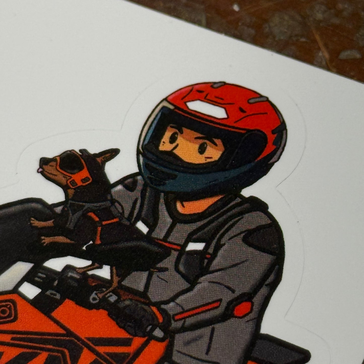 First Edition 4 Pack