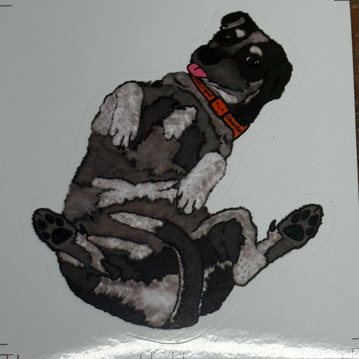 First Edition 4 Pack