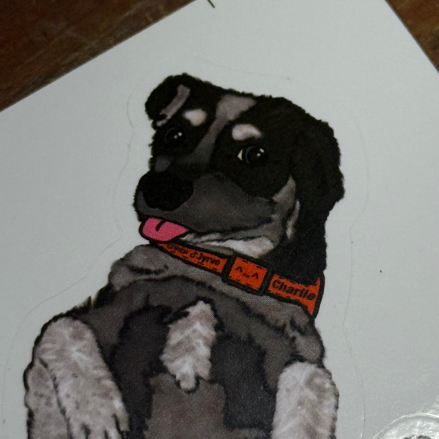 First Edition 4 Pack